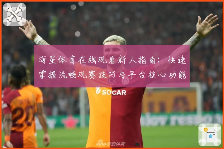 海星体育在线观看新人指南：快速掌握流畅观赛技巧与平台核心功能解析