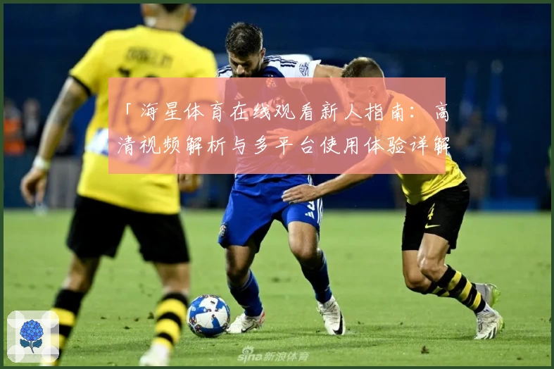 「海星体育在线观看新人指南：高清视频解析与多平台使用体验详解」