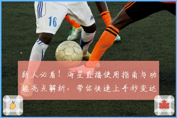 新人必看！海星直播使用指南与功能亮点解析，带你快速上手秒变达人