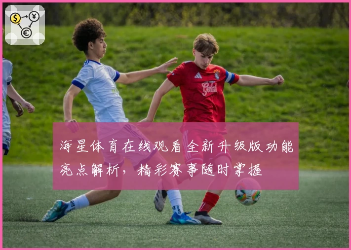 海星体育在线观看全新升级版功能亮点解析，精彩赛事随时掌握