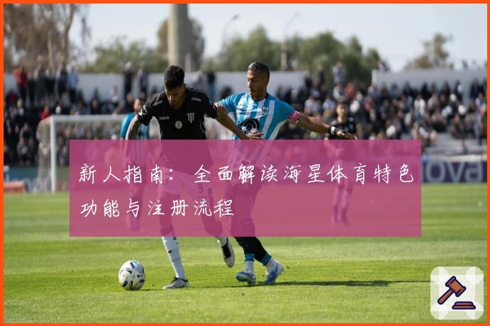 新人指南：全面解读海星体育特色功能与注册流程