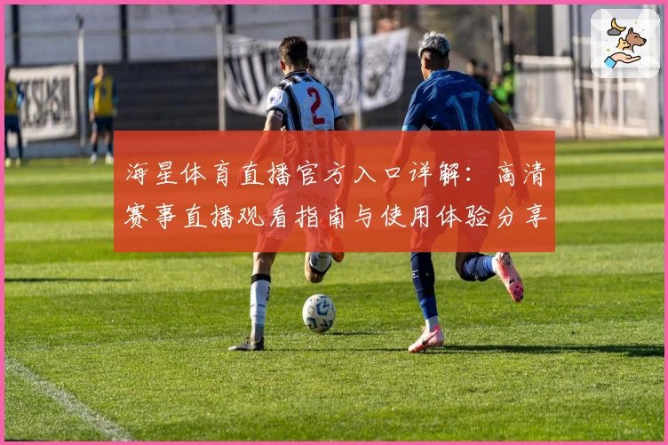 海星体育直播官方入口详解：高清赛事直播观看指南与使用体验分享
